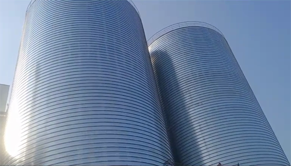 乌坡镇2座混凝土高架卷板仓